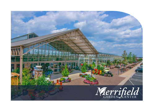 Merrifield-2